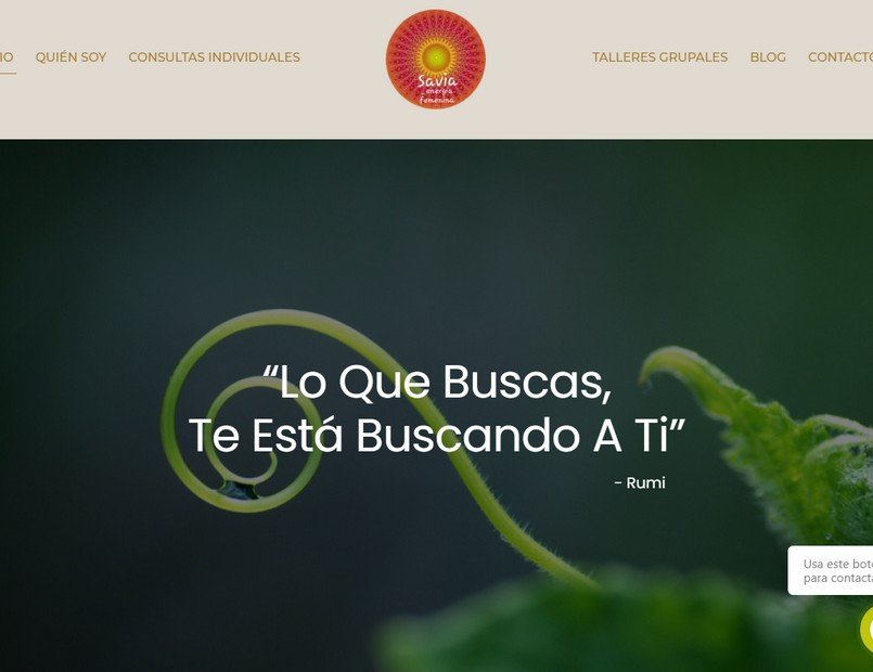 monicapazpsicologa.com