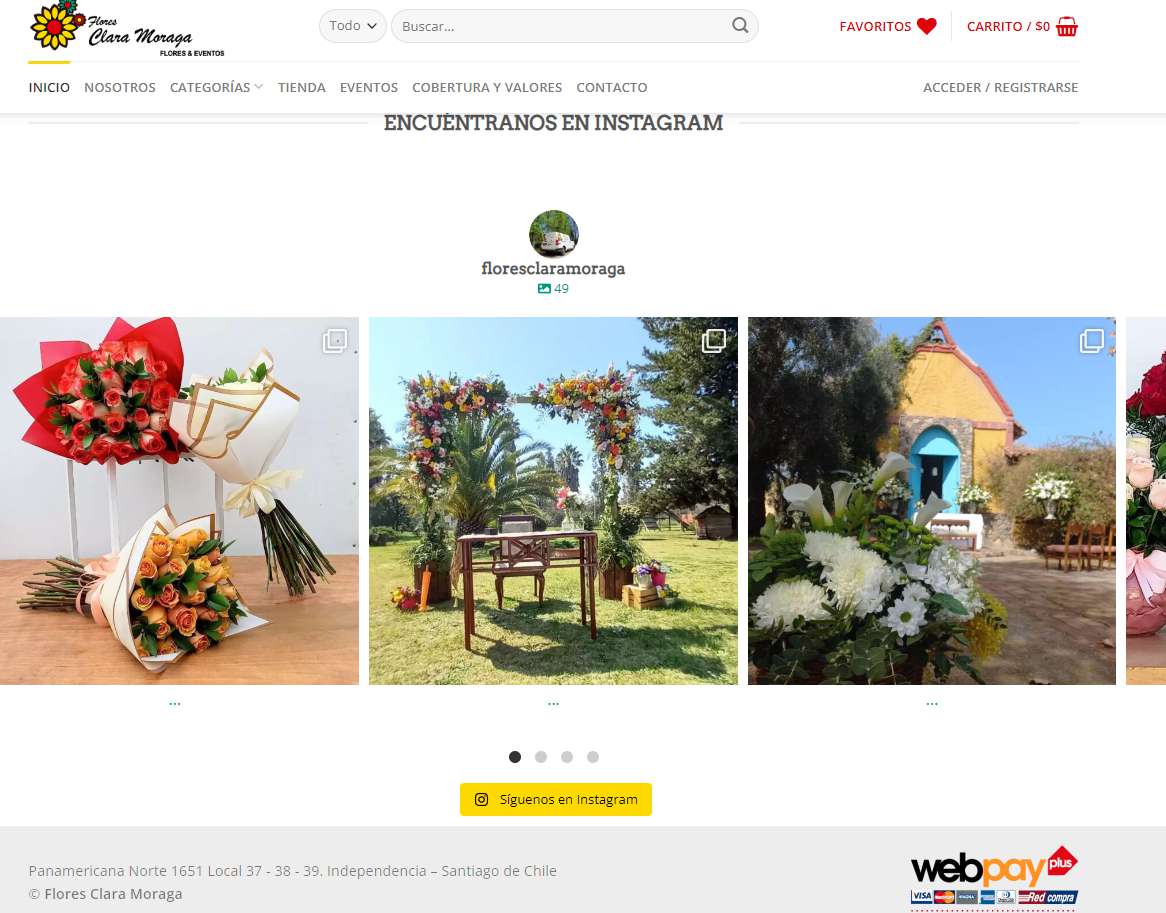 floresclaramoraga chile